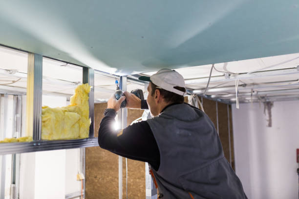 Best Commercial Insulation in Albion, NE